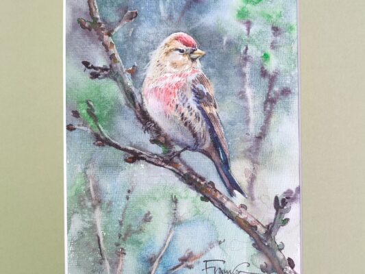 Malinówka – widok 2