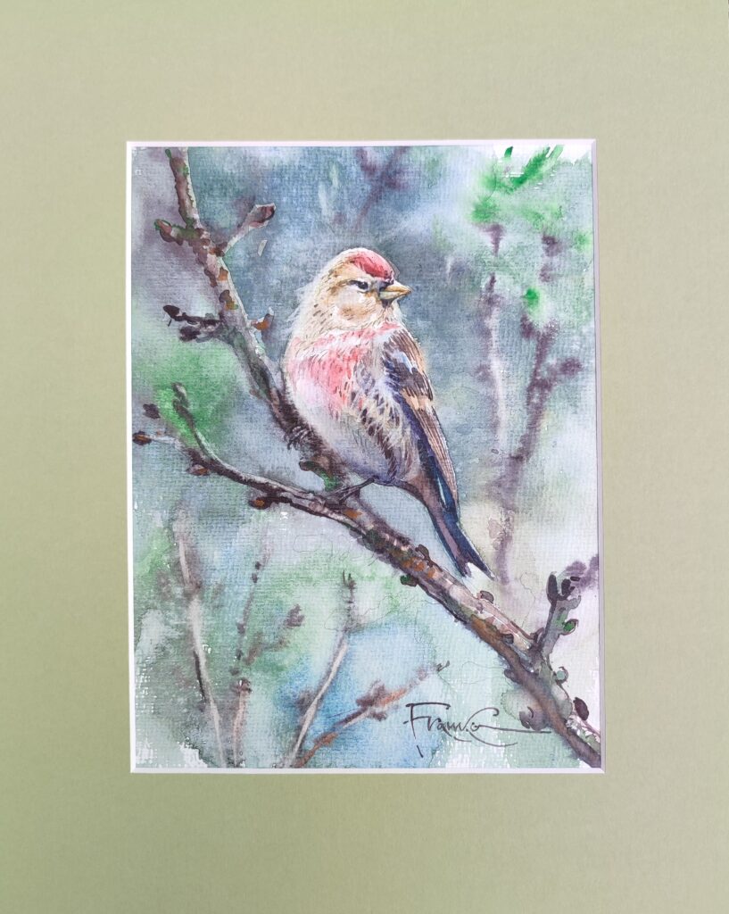 Malinówka – widok 2