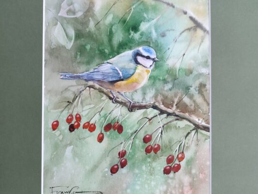 Modraszka – widok 2