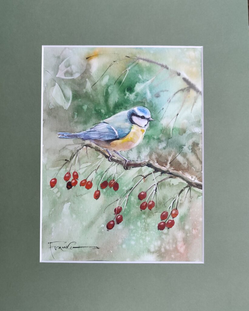 Modraszka – widok 2