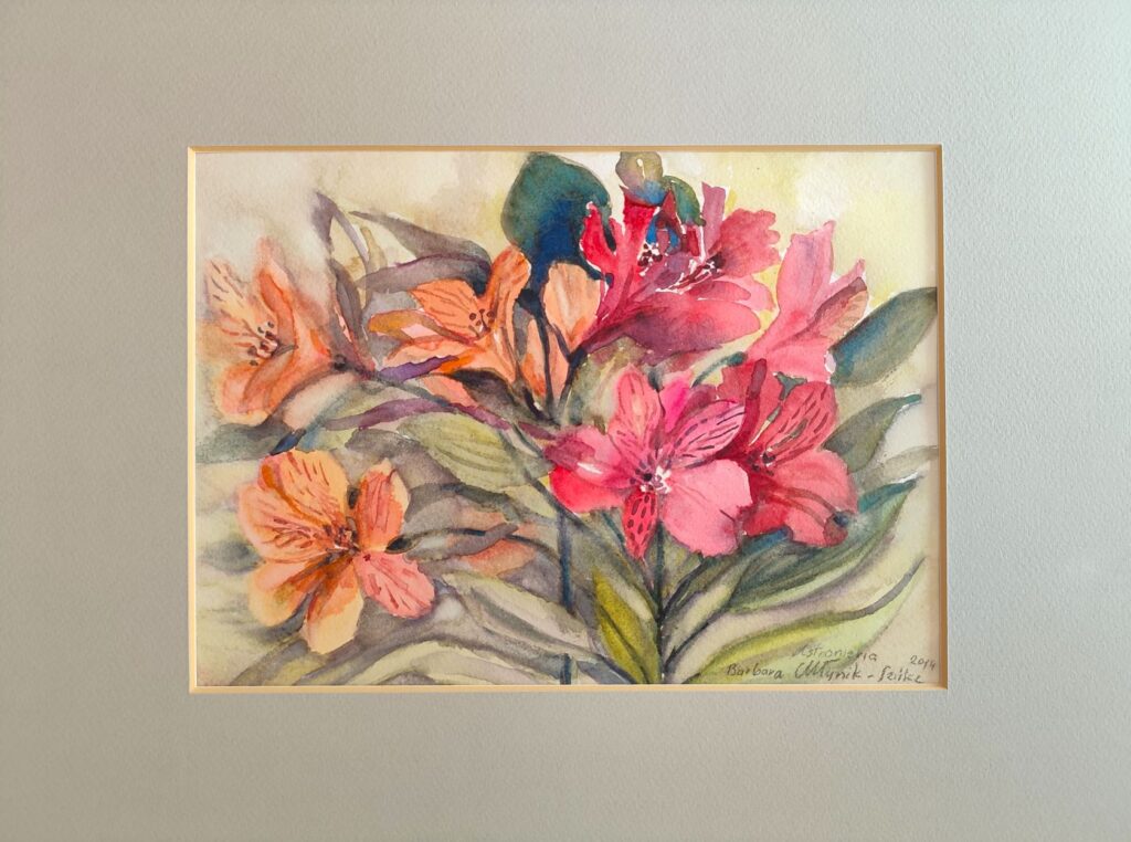 Astromeria – widok 2