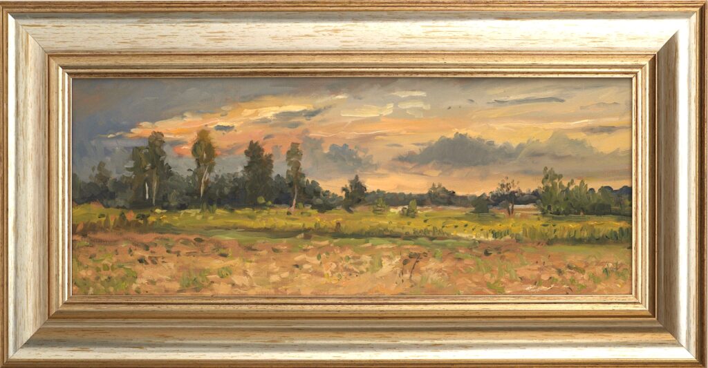 Radomyśl nad Sanem – widok 2