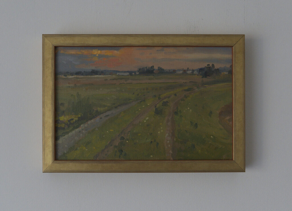 Radomyśl nad Sanem – widok 2