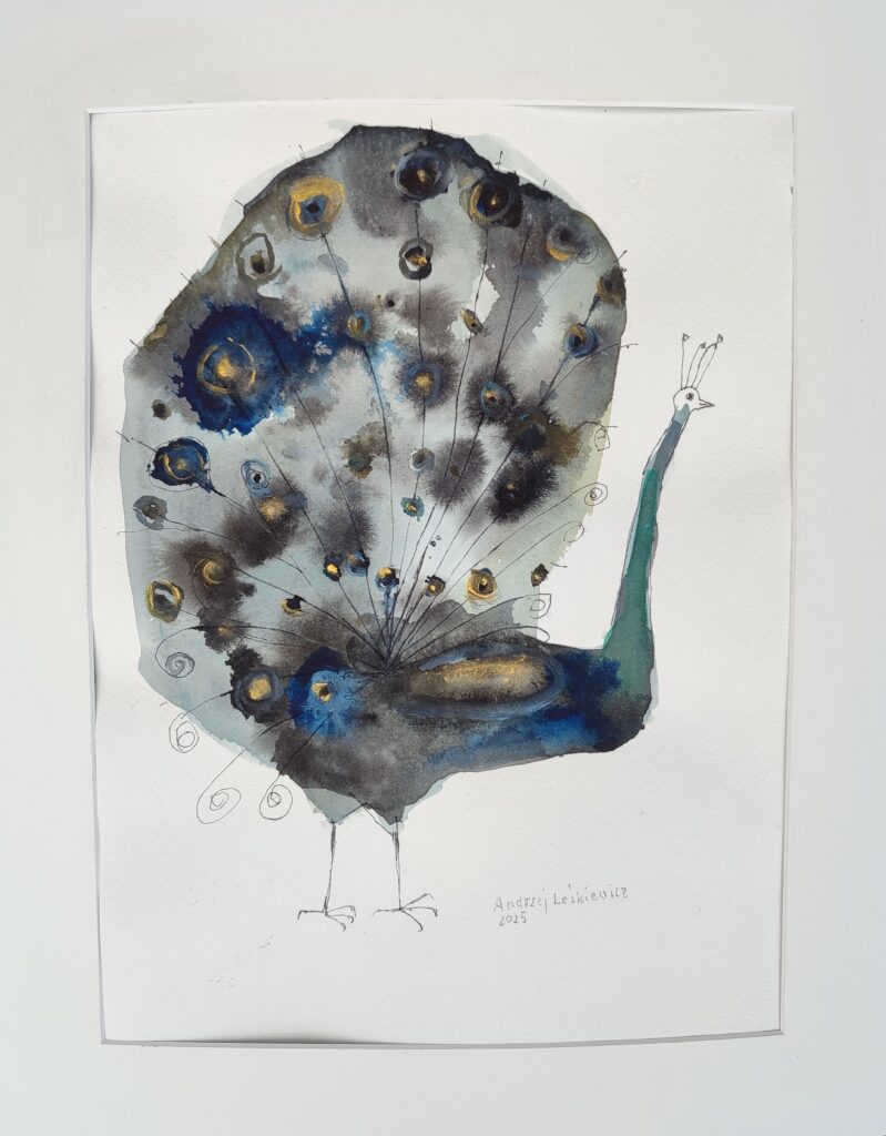 Paw – widok 2